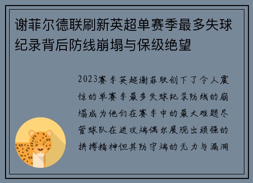 谢菲尔德联刷新英超单赛季最多失球纪录背后防线崩塌与保级绝望